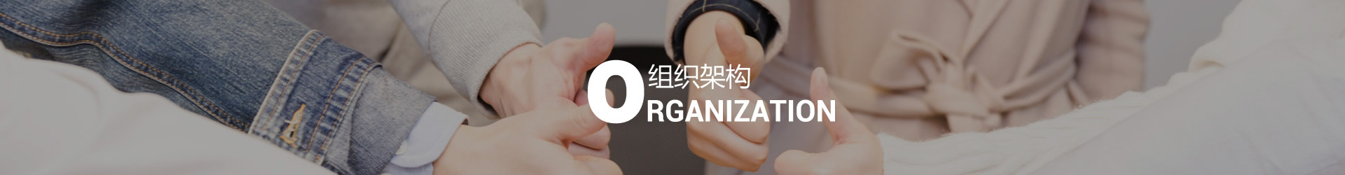 组织架构