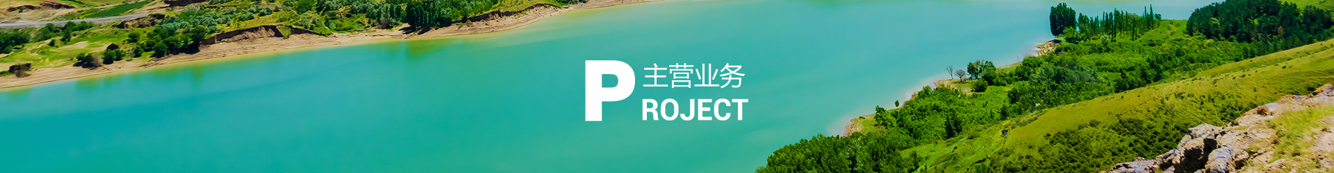 主营业务