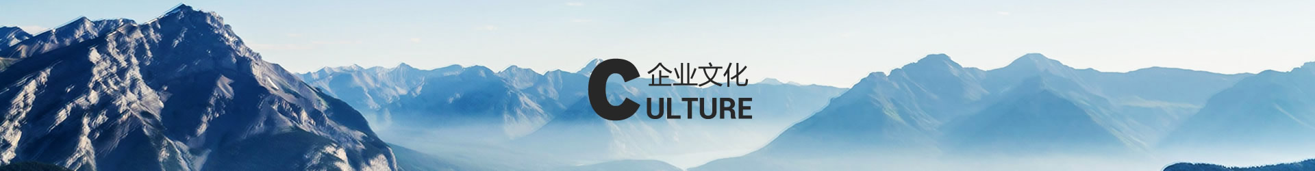 企业文化